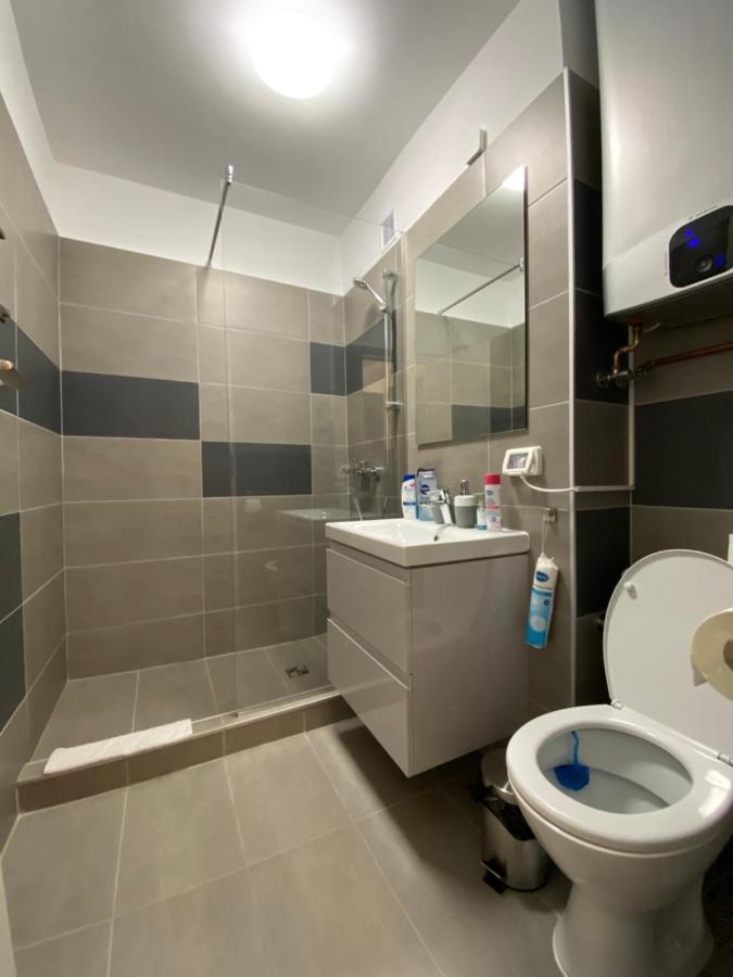 Take Pro Timisoara Apartment Экстерьер фото