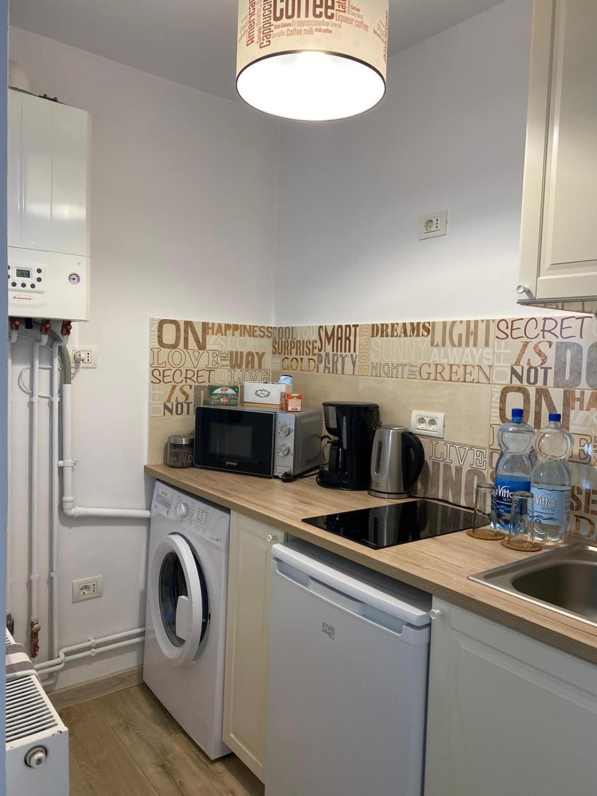 Take Pro Timisoara Apartment Экстерьер фото